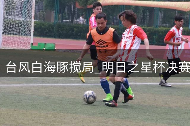 台风"白海豚"搅局 明日之星杯决赛被迫取消 U17国足与枪手青年军共享桂冠