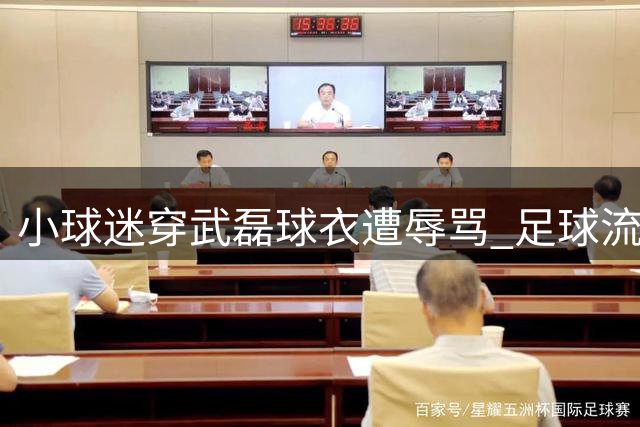 小球迷穿武磊球衣遭辱骂 足球流氓何时休