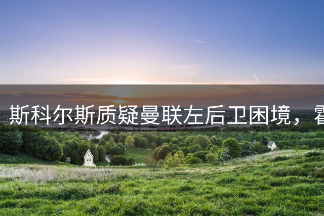斯科尔斯质疑曼联左后卫困境，霍尔转会前景不明